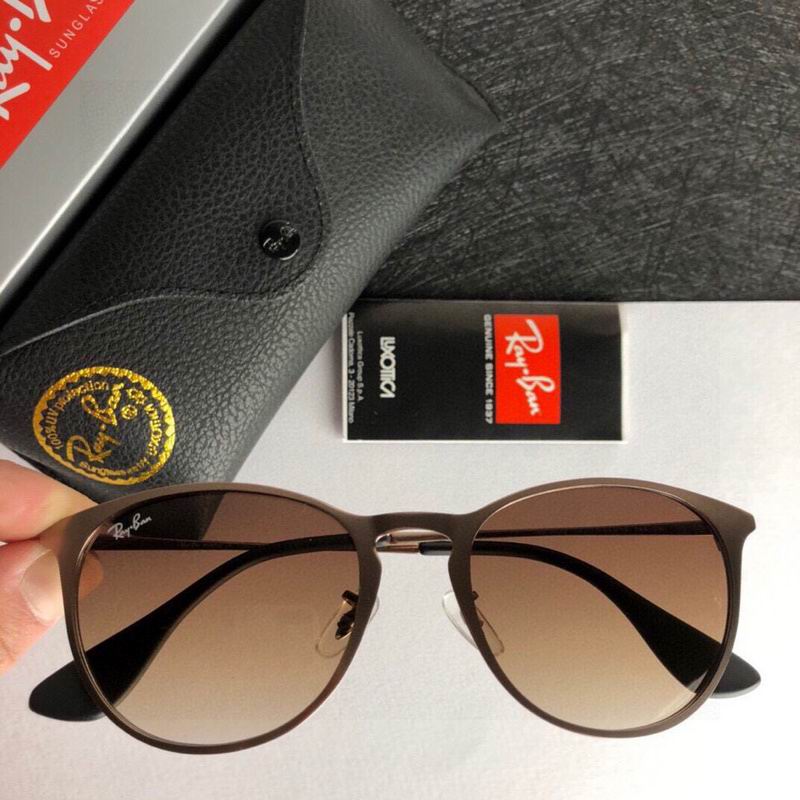 Rayban Glasses (358)